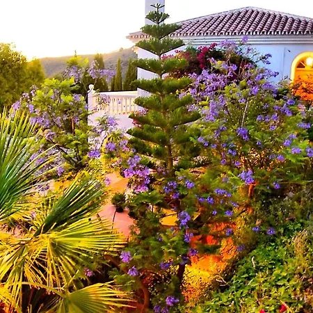Villa Axarquia Moclinejo