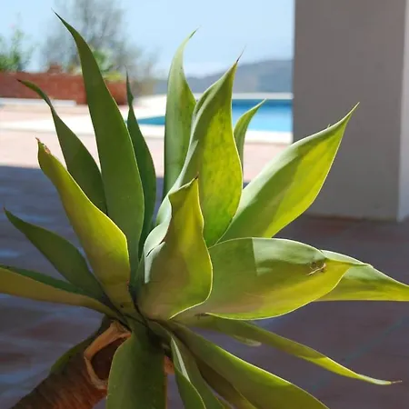 Villa Axarquia *